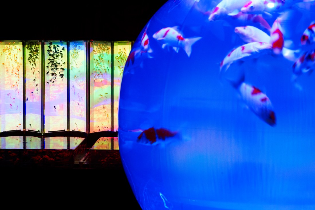 âAü[âXâAâNâAâèâEâÇâWâââ_âjâYâÇ_æsÉ¡ò=è-ïaï¢æs¢áòù